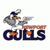 Newport Gulls